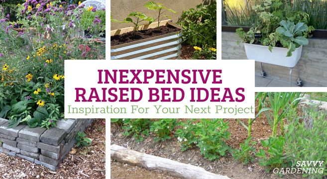 inexpensive raised garden bed ideas